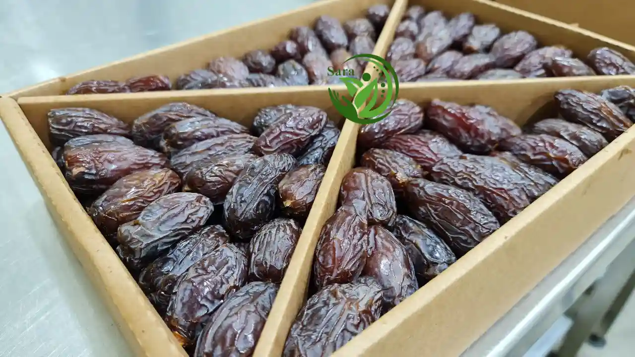 Fresh Medjool Date Exporter from Egypt